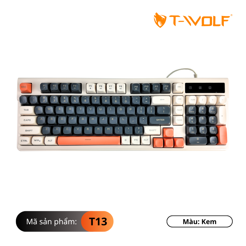 Bàn phím TW T13 kem